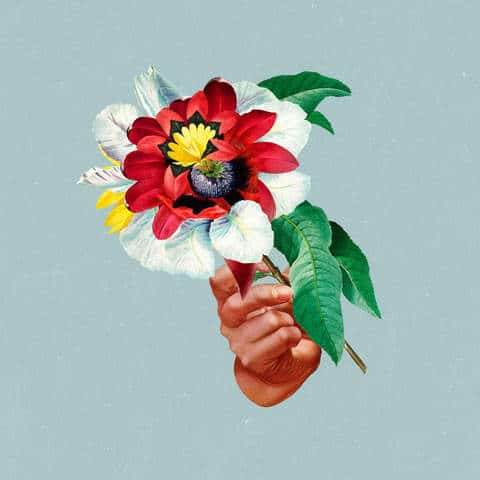 Maribou State - Kingdoms In Colour - 12" Vinyl, Cover