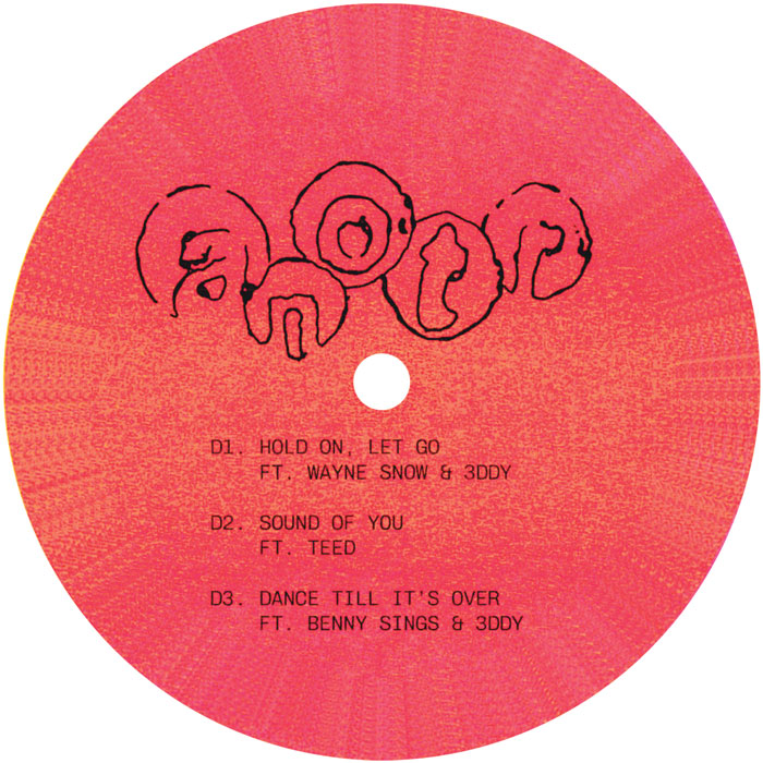 ANOTR - Withness [2x12 Inch Clear Vinyl, Double LP Album, NO ART Records, Side D]