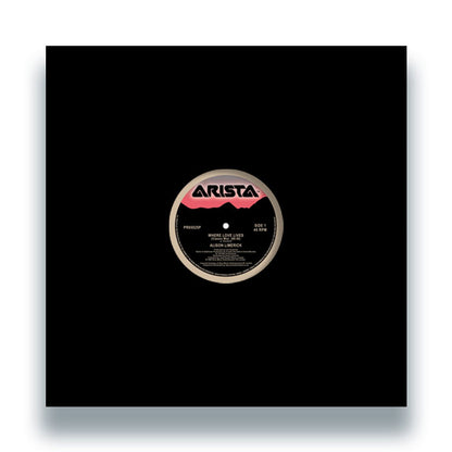 Alison Limerick - Where Love Lives [12 Inch Vinyl, Arista, Remastered Edition, Front Cover]