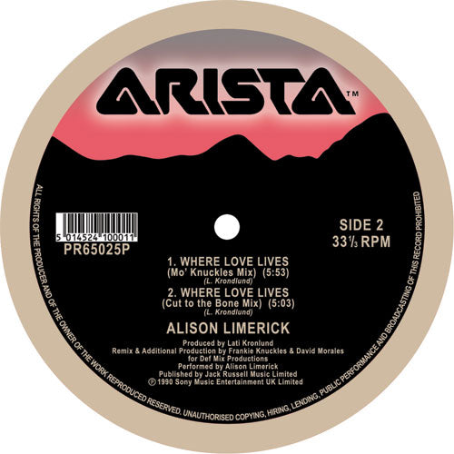 Alison Limerick - Where Love Lives [12 Inch Vinyl, Arista, Remastered Edition, Side 2]