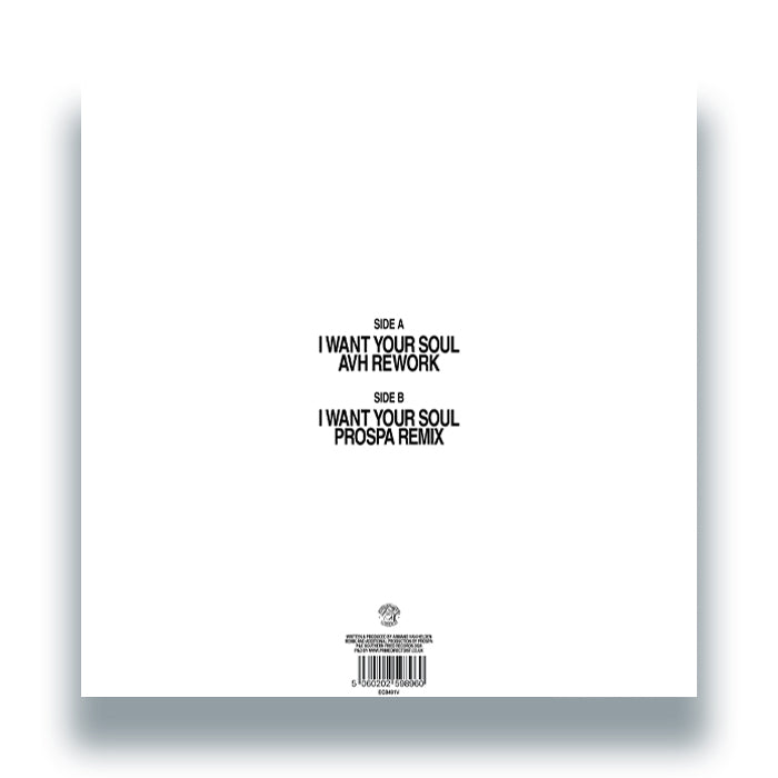 Armand Van Helden - I Want Your Soul (AVH Rework + Prospa Remix) [12 Inch Vinyl, Southern Fried Records, Back Cover]