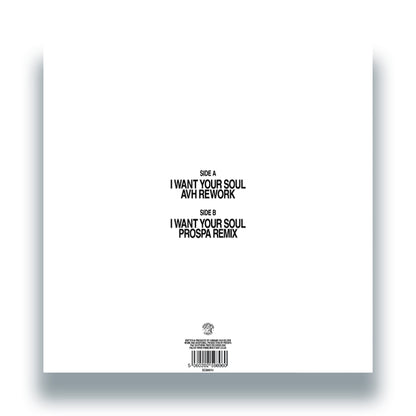 Armand Van Helden - I Want Your Soul (AVH Rework + Prospa Remix) [12 Inch Vinyl, Southern Fried Records, Back Cover]