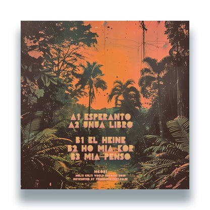 Auntie Flo - Outernational Dance [12" Vinyl, Multi Culti, Back Cover]