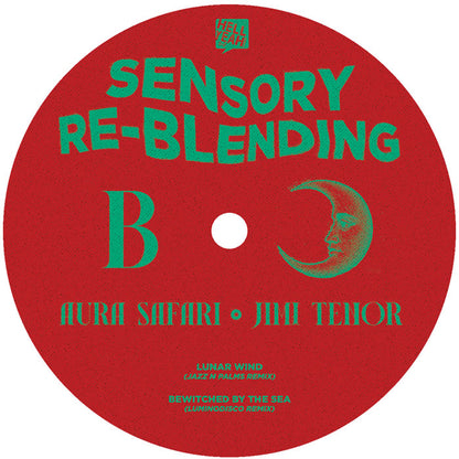 Aura Safari & Jimi Tenor - Sensory ReBlending [12 Inch Vinyl, Hell Yeah Recordings, Side B]