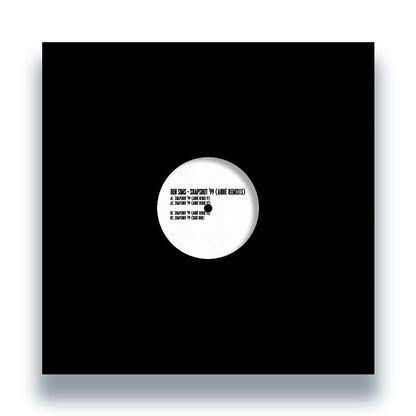 Ben Sims - Snapshot 99 (ANNE Remixes) [12 Inch Vinyl, Hardgroove, Front Cover]
