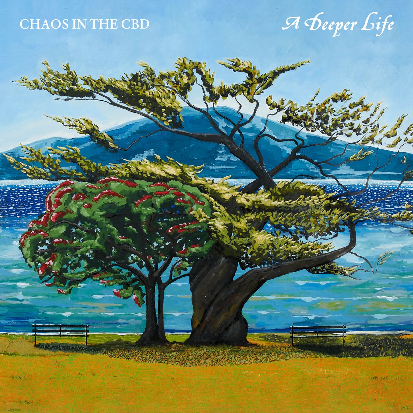 Chaos In The CBD - A Deeper Life - 12" 2xLP Vinyl, Album, Front Cover