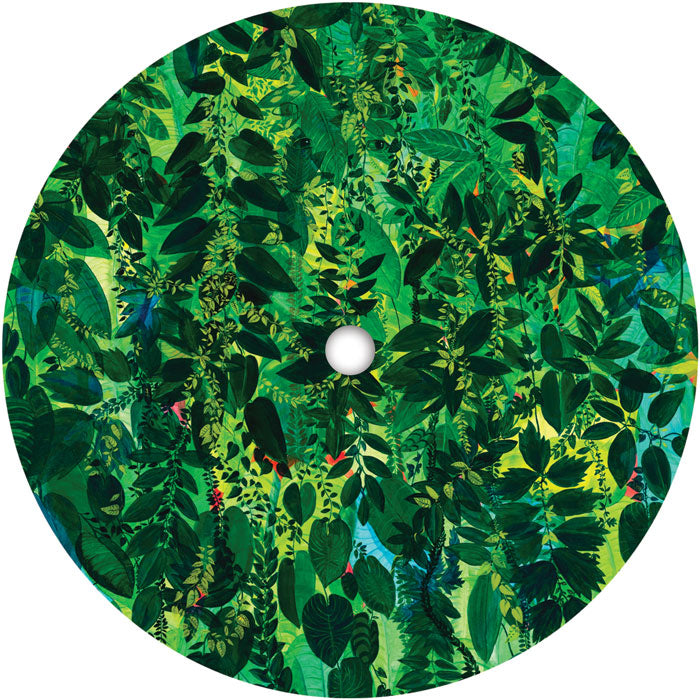 Coyote - Go With The Tide [12 Inch Vinyl LP, Universal Cave Records, Side A]