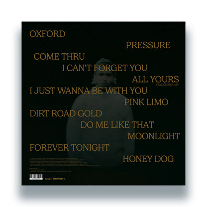 Crooked Colours - Dirt Road Gold [12 Inch Vinyl LP, Sweat It Out Records, Back Cover]