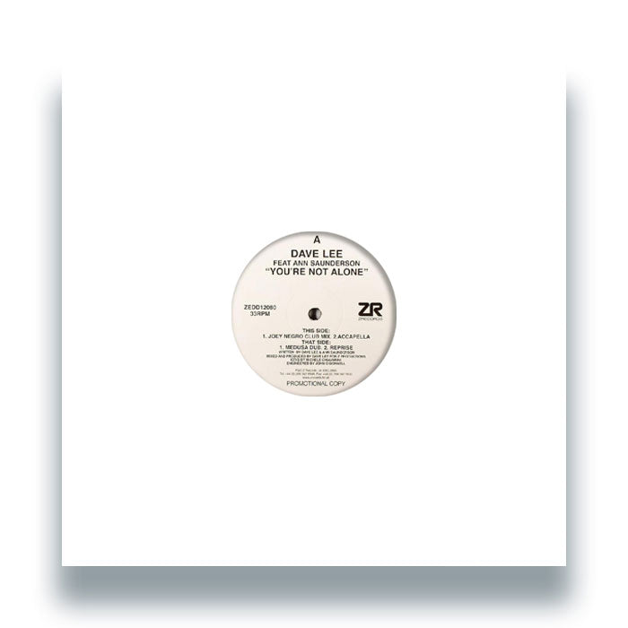Dave Lee - You're Not Alone [12 Inch Vinyl, Z Records, Front Cover]