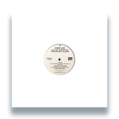 Dave Lee - You're Not Alone [12 Inch Vinyl, Z Records, Front Cover]