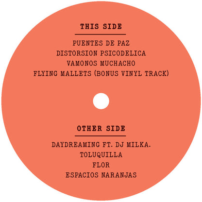 Durango 95 - Vamonos Muchacho LP [12 Inch Vinyl, Discos Tabu, Side A]