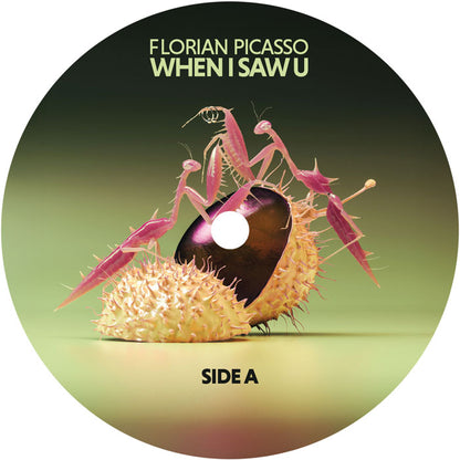 Florian Picasso - When I Saw U [12" Vinyl, Hot Meal Records, Side A]