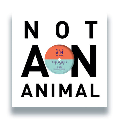 Frequencies Of Love - Frequencies Of Love EP [12" Vinyl EP, Front Cover]