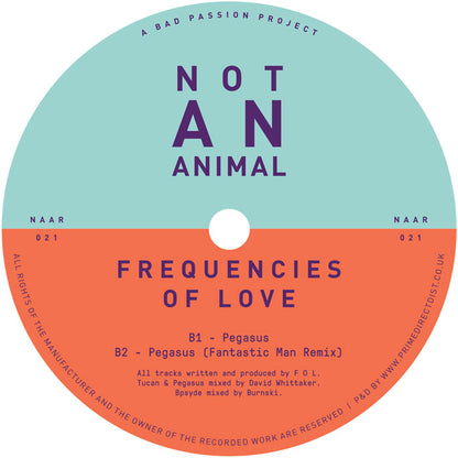 Frequencies Of Love - Frequencies Of Love EP [12" Vinyl EP, Side B]