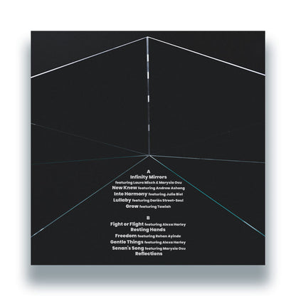 Hector Plimmer - Infinity Mirrors [12" Vinyl LP, Albert's Favourites, Picture Sleeve, Back Cover]