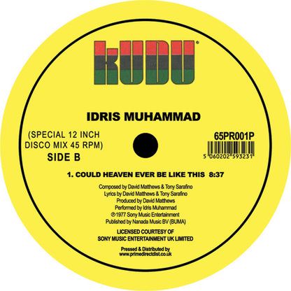 Idris Muhammad - Could Heaven Ever Be Like This (Late Nite Tuff Guy Remix) - 12" Vinyl, Side B