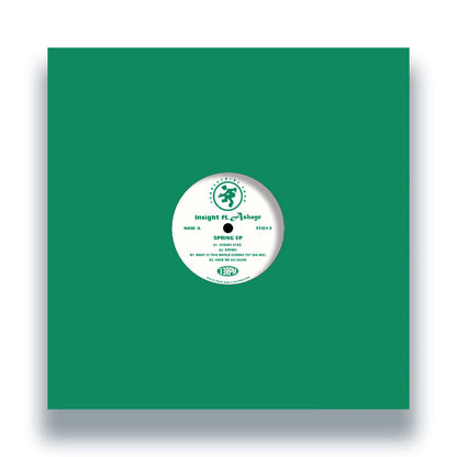 Insight featuring Ashaye - Spring EP [12" Vinyl, Terrestrial Funk, Front]