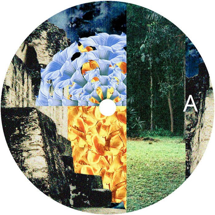 Jadu Heart - Wanderflower / Ezra's Garden [12 Inch Vinyl LP, Anchor Point Records, Side A]