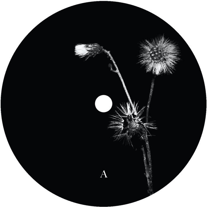 Jon Dasilva & Skyskrapa Feat. Donald Waugh - Sun Brings Joy [12 Inch Vinyl, Hottwerk Records, Side A]