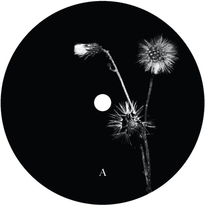 Jon Dasilva & Skyskrapa Feat. Donald Waugh - Sun Brings Joy [12 Inch Vinyl, Hottwerk Records, Side A]