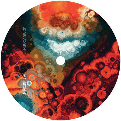 Joris Voorn - Melatonin [2x12 Vinyl LP, Spectrum Records, Side C]
