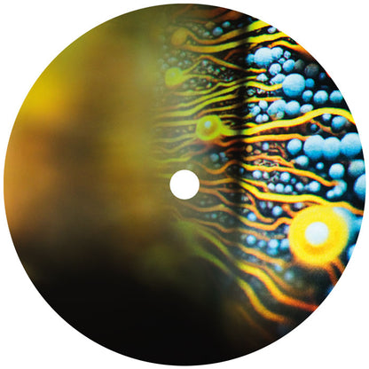 Joris Voorn - Serotonin [2x12" Vinyl LP, Armada Music / Spectrum, Side A]