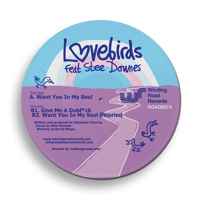 LOVEBIRDS - WANT YOU IN MY SOUL 再発12inch Lovebirds Feat. Stee