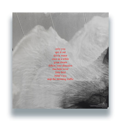 Low Island - bird [12" Red Vinyl LP, Emotional Interference, Back Cover]