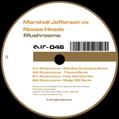 Marshall Jefferson Vs. Noosa Heads - Mushrooms [12" Vinyl, Airtight, Side B]