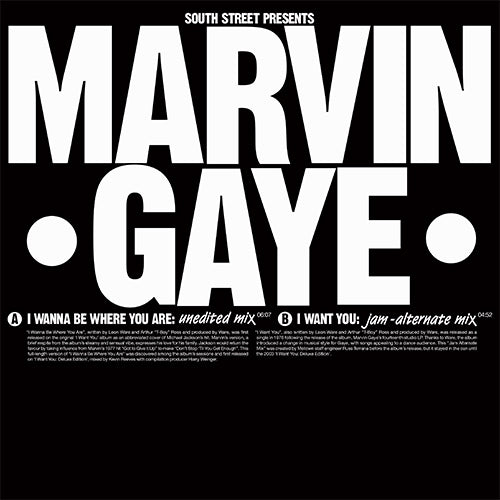 Marvin Gaye - I Wanna Be Where You Are / I Want You [12 Inch Vinyl, South Street, Front Cover]