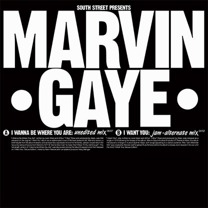 Marvin Gaye - I Wanna Be Where You Are / I Want You [12 Inch Vinyl, South Street, Front Cover]