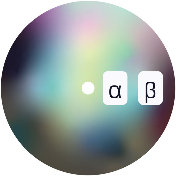 Mason - Nite Rite - Alpha, Beta, Gamma, Delta [12 Inch Vinyl, Animal Language Records, Side A]