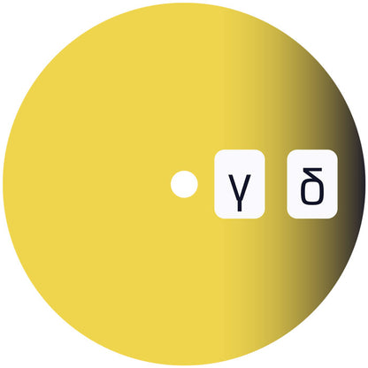 Mason - Nite Rite - Alpha, Beta, Gamma, Delta [12 Inch Vinyl, Animal Language Records, Side B]