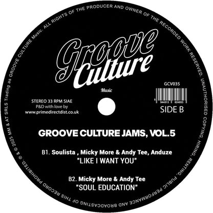 Micky More & Andy Tee / Serge Funk / Reverendos Of Soul - Groove Culture Jams Vol.5 [12 Inch Vinyl, Side B]