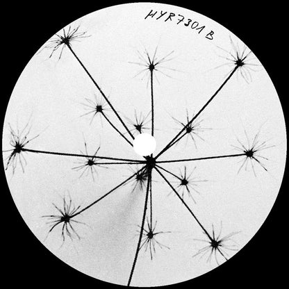 Nathan Dawidowicz - Fluff [12 Inch Vinyl LP, Hell Yeah Recordings, Side B]