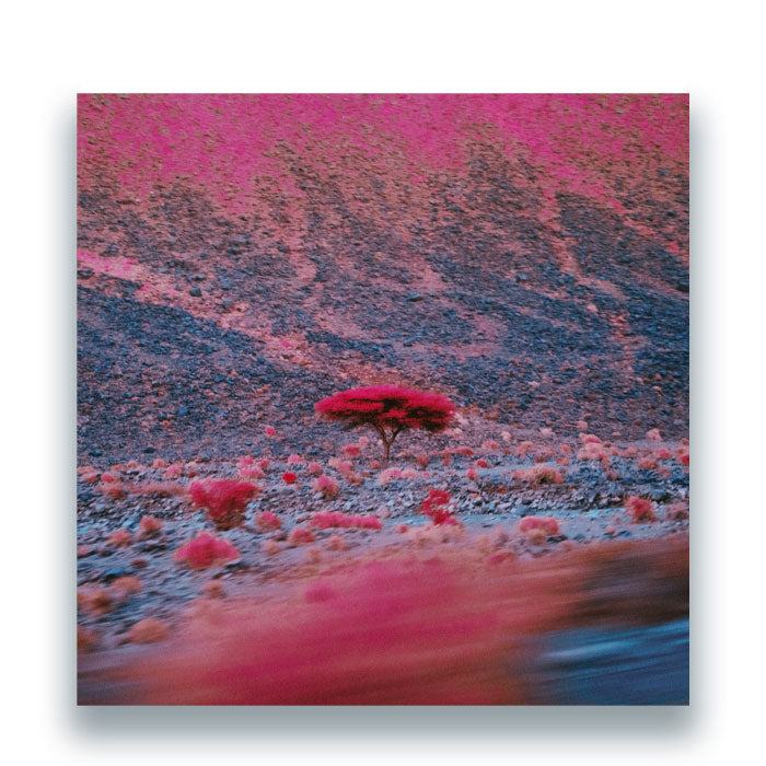 O'Flynn - Kairos [2x12 Inch Vinyl, Double LP, Album, Panthus Records, Front Cover]