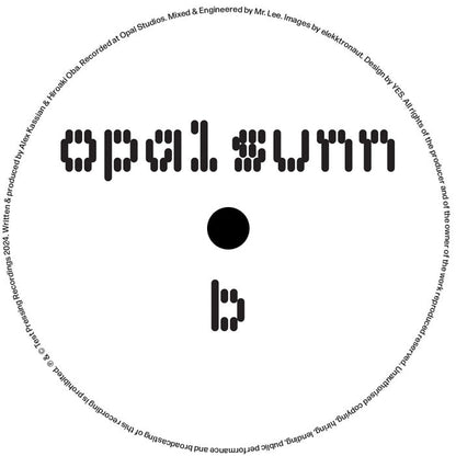 Opal Sunn - Elastic - Vinyl, B Side