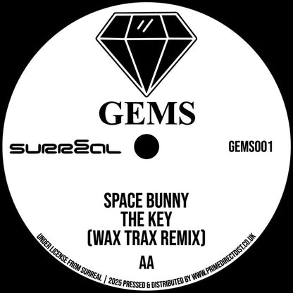 Radical Chic / Space Bunny - In Da Shadows (Terry Francis Remix) / The Key (Wax Trax Remix) - 12" Vinyl, AA Side