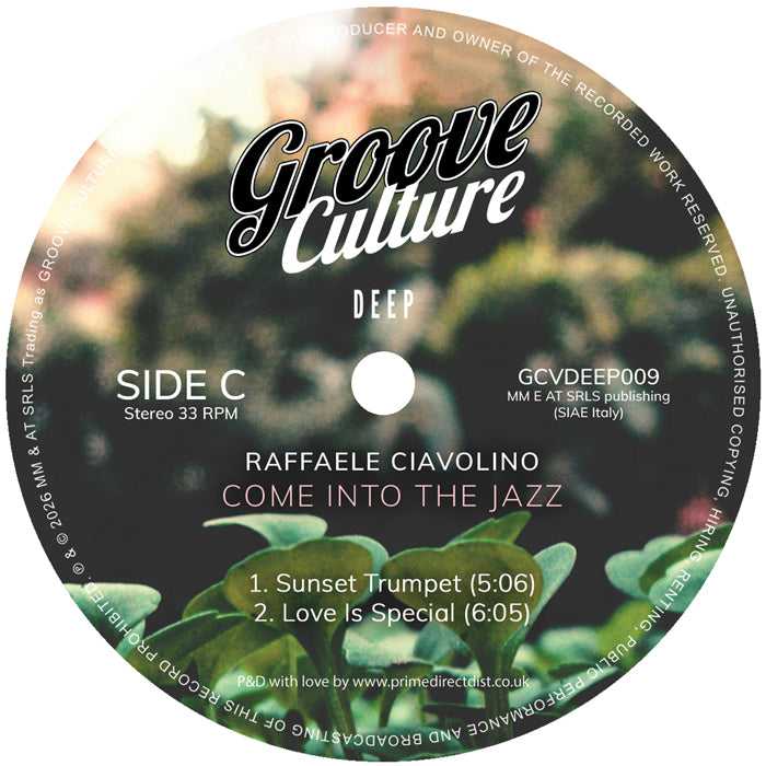 Raffaele Ciavolino - Come Into The Jazz [2x12" Vinyl, Double LP, Groove Culture Deep, Side C]