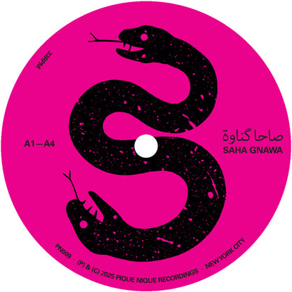Saha Gnawa - Saha Gnawa [12 Inch Vinyl LP, Pique-Nique Recordings, Side A]