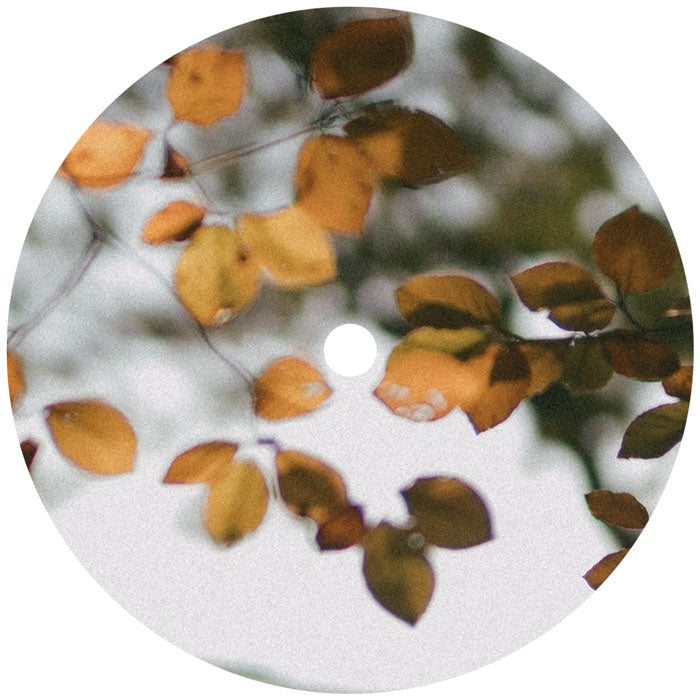 Scrimshire - Bring Our Light To Every Corner [12 Inch Vinyl LP, Albert's Favourites, Side A]