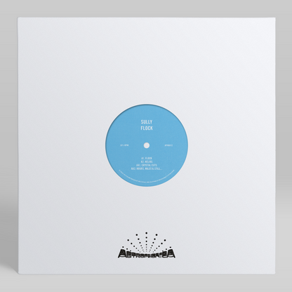 Sully – Flock [12" Vinyl EP, Black, Front Cover]