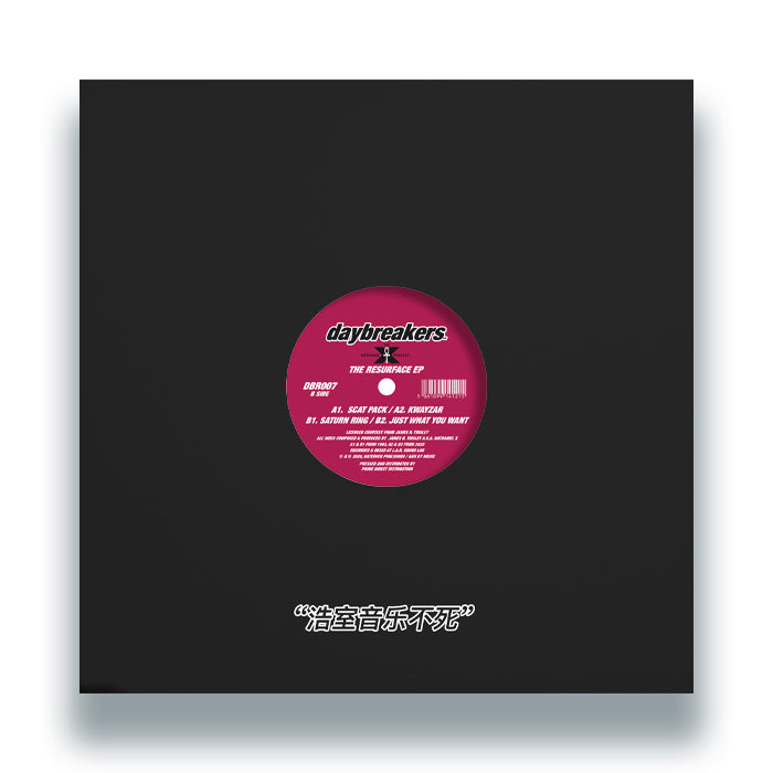 The Nathaniel X Project - The Resurface EP [12 Inch Vinyl, Daybreakers, Back Cover]