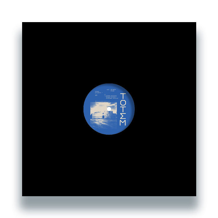 Totem Projects - Dream Forever EP [12 Inch Vinyl EP, Front Cover]