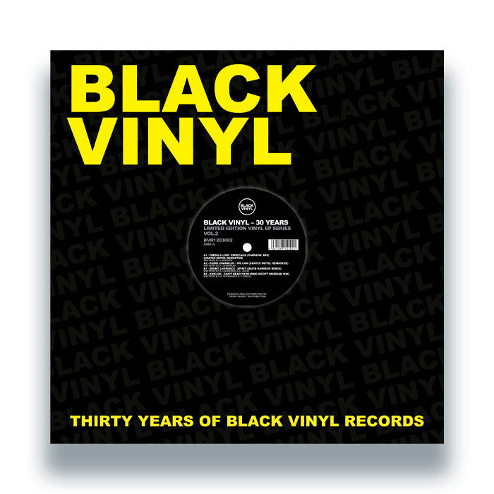 Various Artists - Black Vinyl - 30 Years Volume 2 [12 Inch Vinyl, Front Cover]