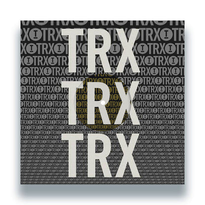 Various Artists - Toolroom Trax Sampler Vol. 5 [12 Inch Vinyl, Toolroom Trax Records, Front Cover]