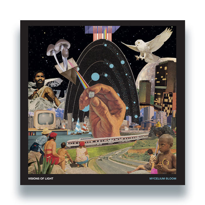 Visions of Light - Mycelium Bloom [12 Inch Vinyl LP, NUNSVOLMBLPV, Front Cover]