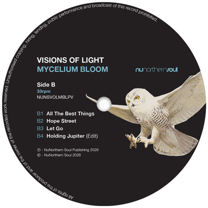 Visions of Light - Mycelium Bloom [12 Inch Vinyl LP, NUNSVOLMBLPV, Side B]