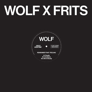 Frits Wentink - Remember that Feeling - WOLF MUSIC