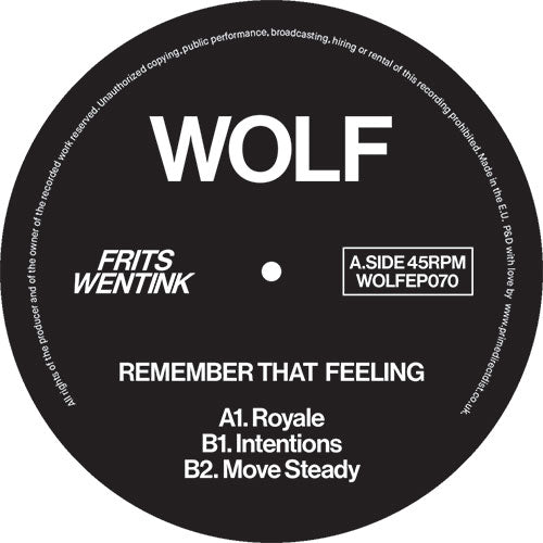 Frits Wentink - Remember that Feeling - WOLF MUSIC